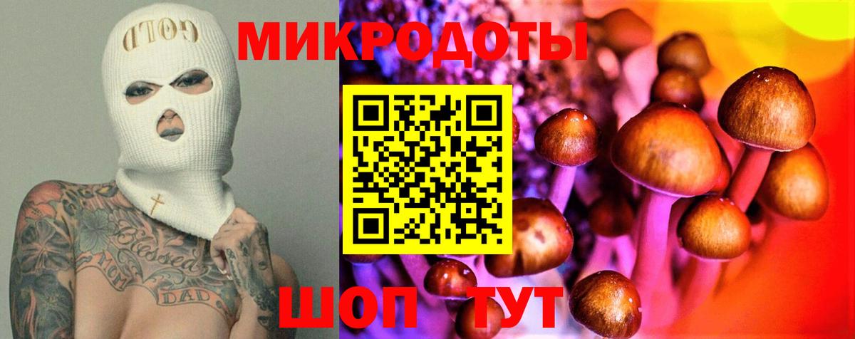 Галлюциногенные грибы Psilocybe Ростов Великий