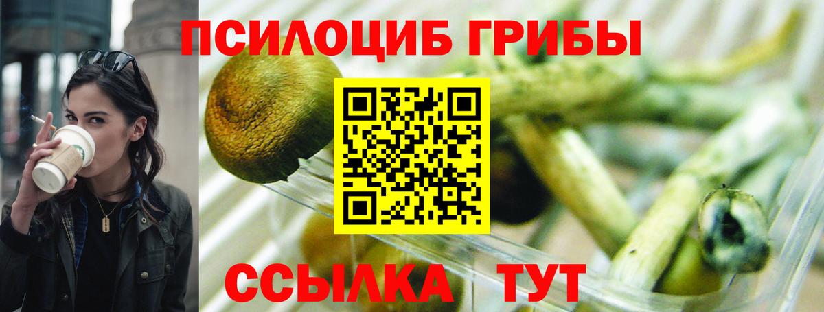 Псилоцибиновые грибы MAGIC MUSHROOMS  Вход с VPN  Ростов Великий 